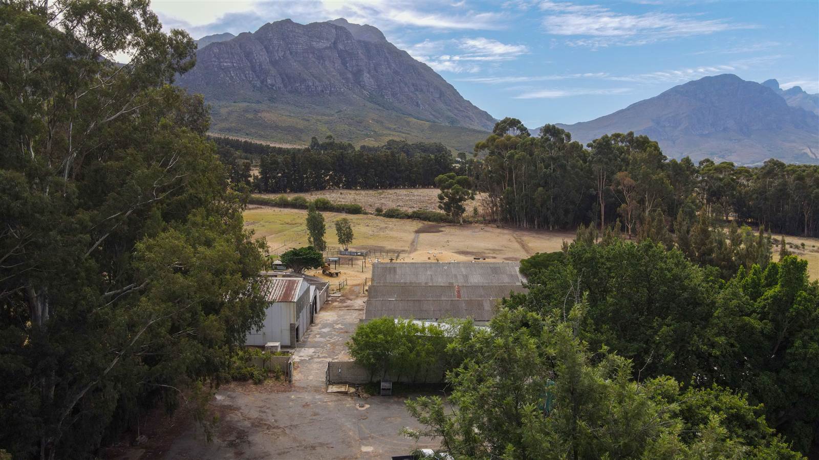 78 ha Farm in Tulbagh photo number 7