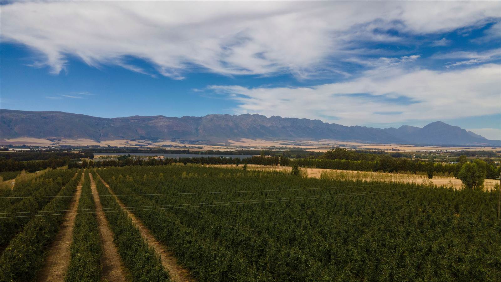 78 ha Farm in Tulbagh photo number 25