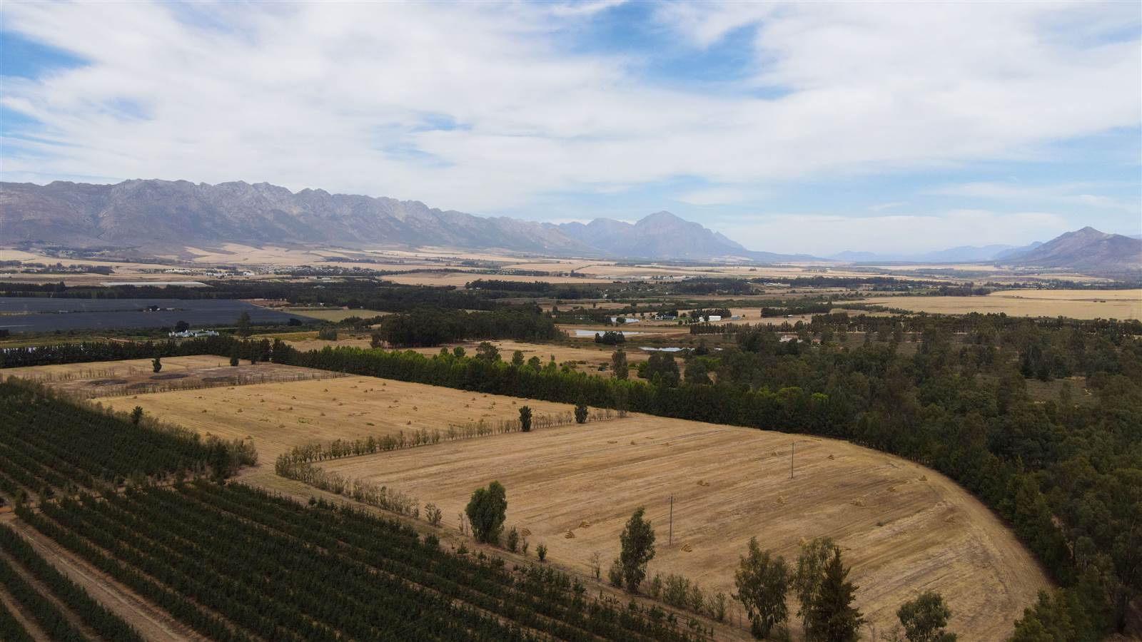 78 ha Farm in Tulbagh photo number 12