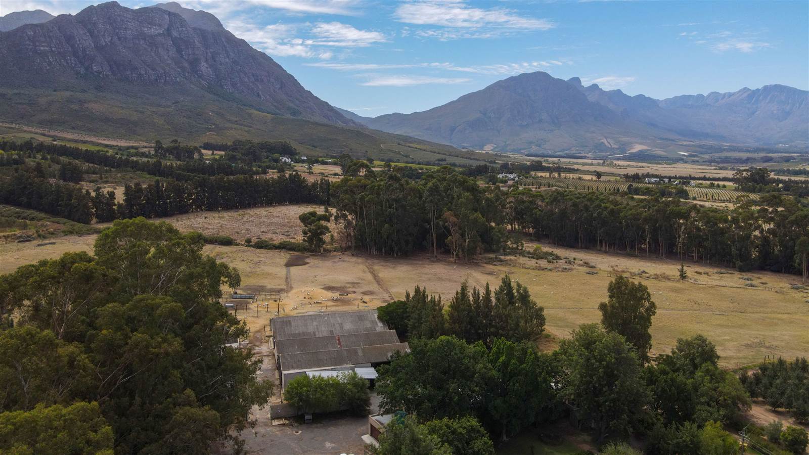 78 ha Farm in Tulbagh photo number 8