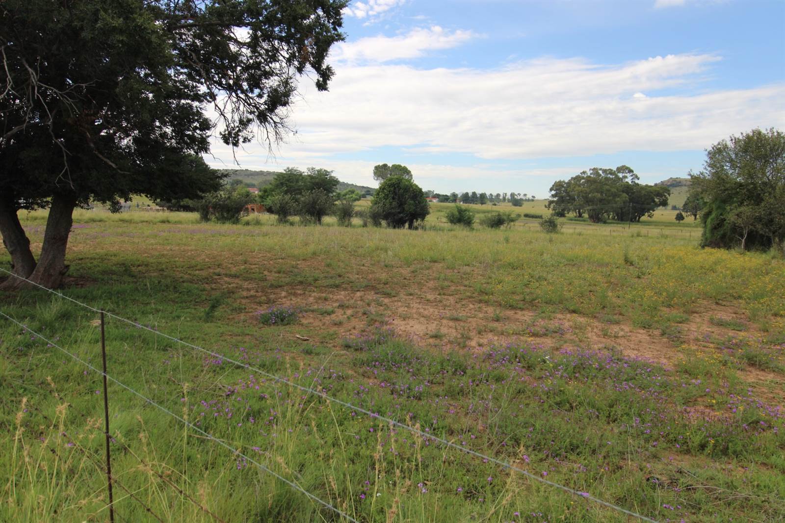 2974 m² Land available in Hobhouse photo number 3