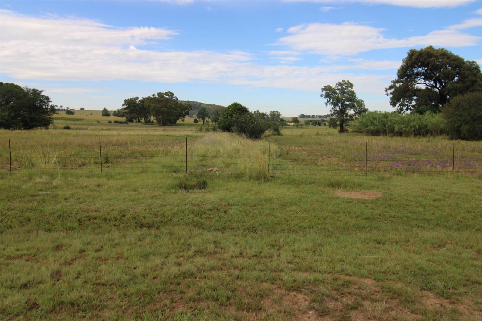 2974 m² Land available in Hobhouse photo number 2