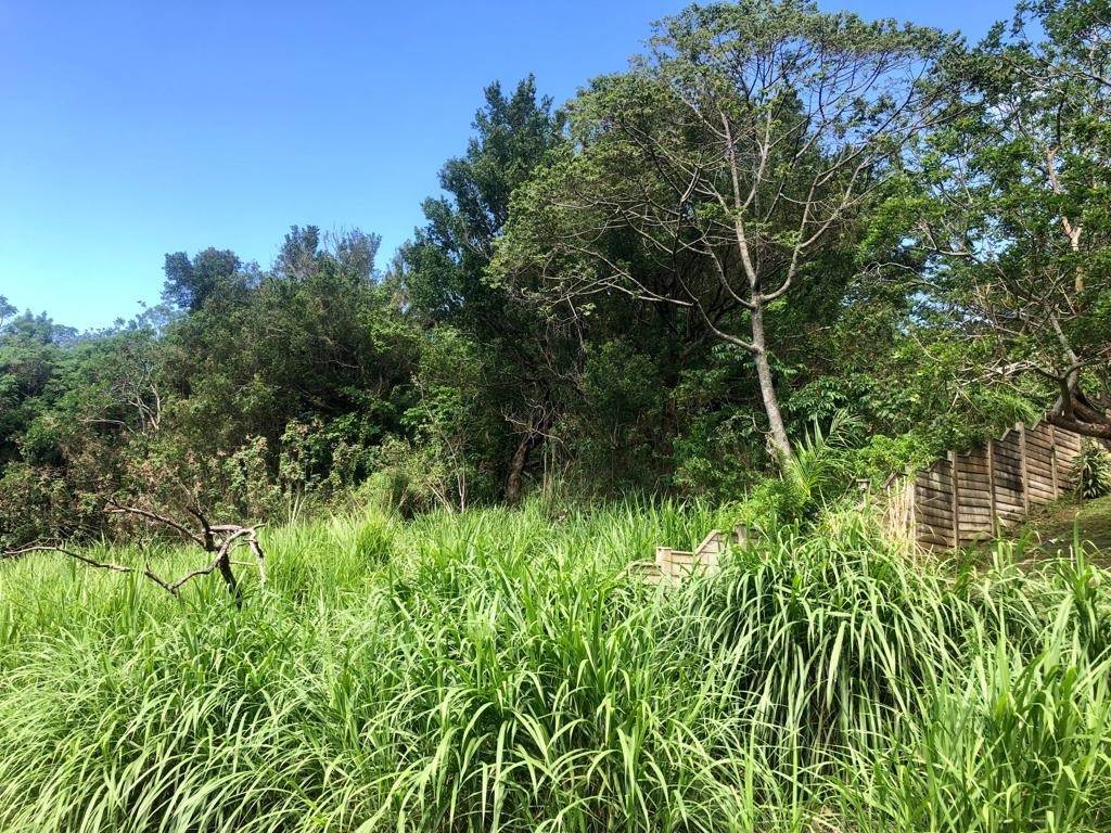 2190 m² Land available in Umtentweni photo number 4
