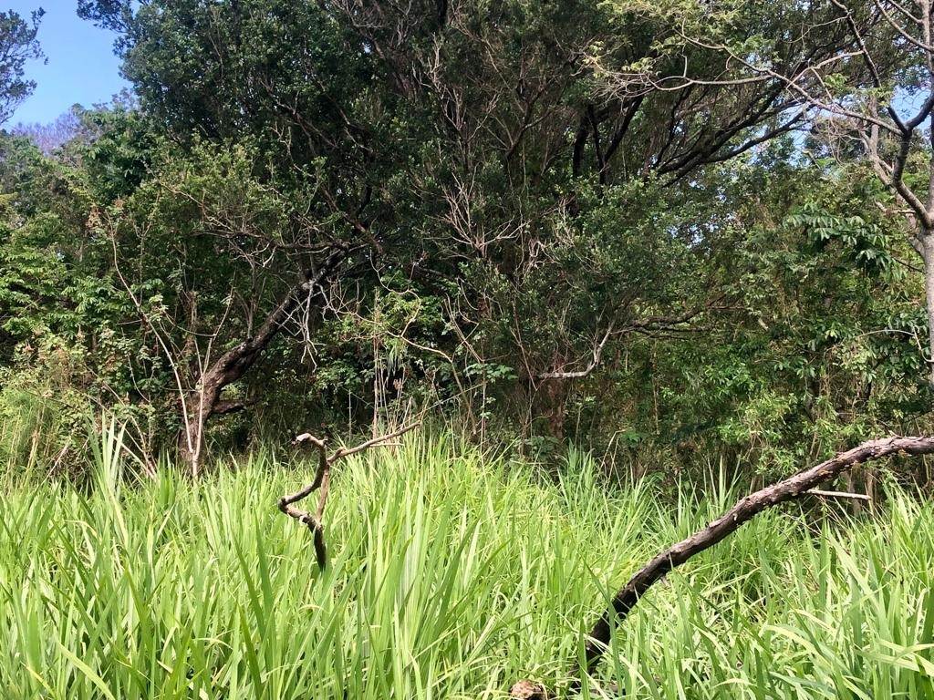 2190 m² Land available in Umtentweni photo number 6