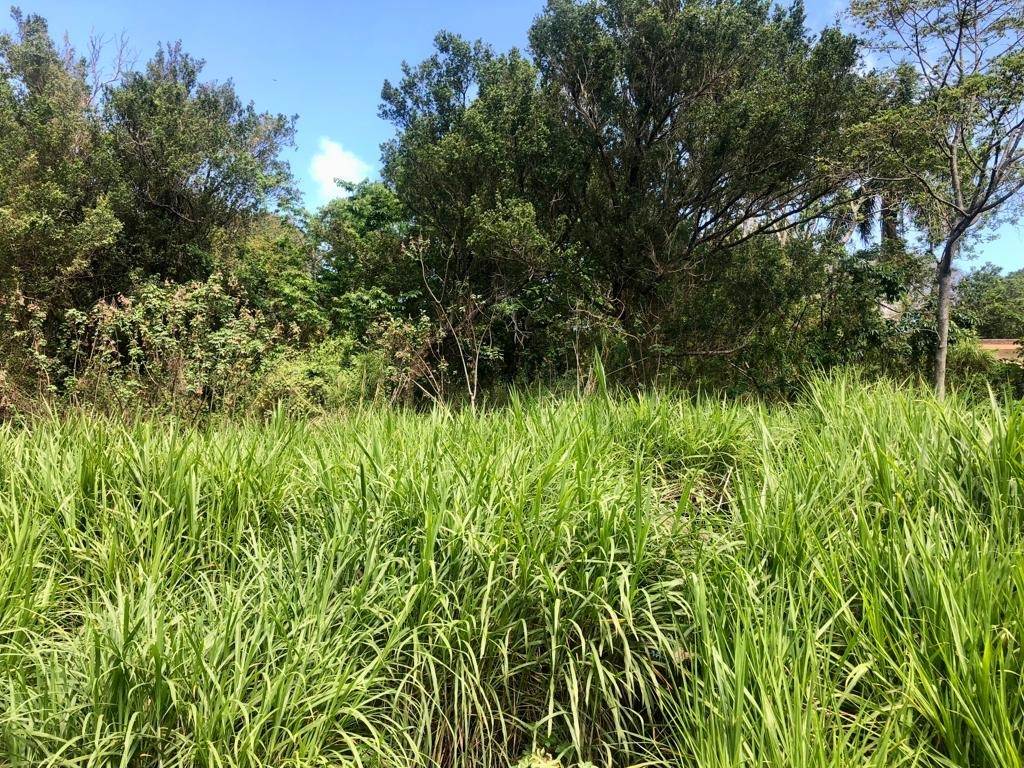 2190 m² Land available in Umtentweni photo number 3