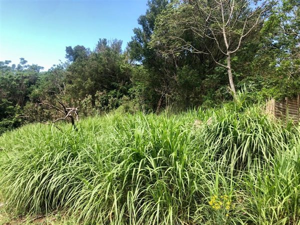 2190 m² Land available in Umtentweni