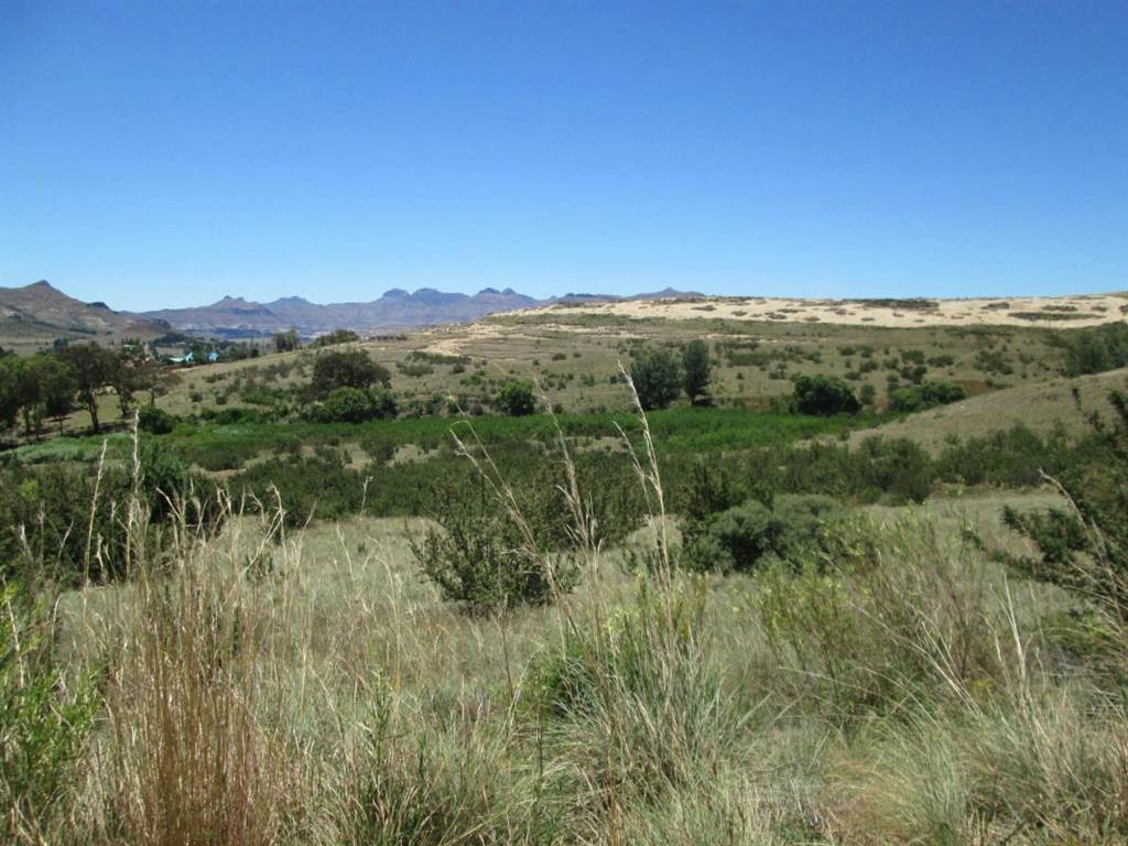 1266 m² Land available in Clarens photo number 3