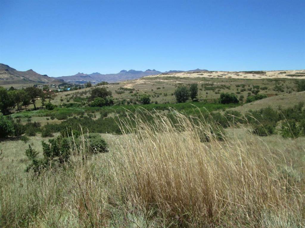 1266 m² Land available in Clarens photo number 2