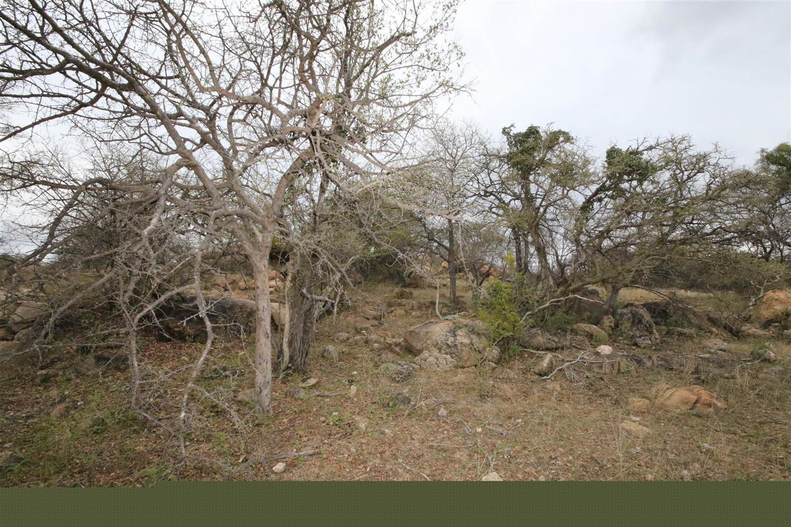 1 ha Land available in Hoedspruit photo number 21
