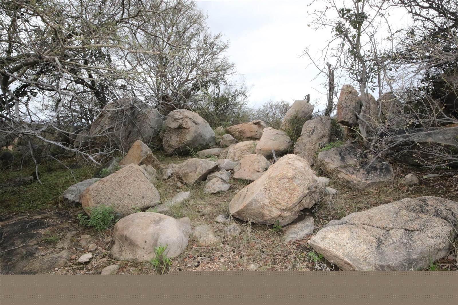 1 ha Land available in Hoedspruit photo number 2