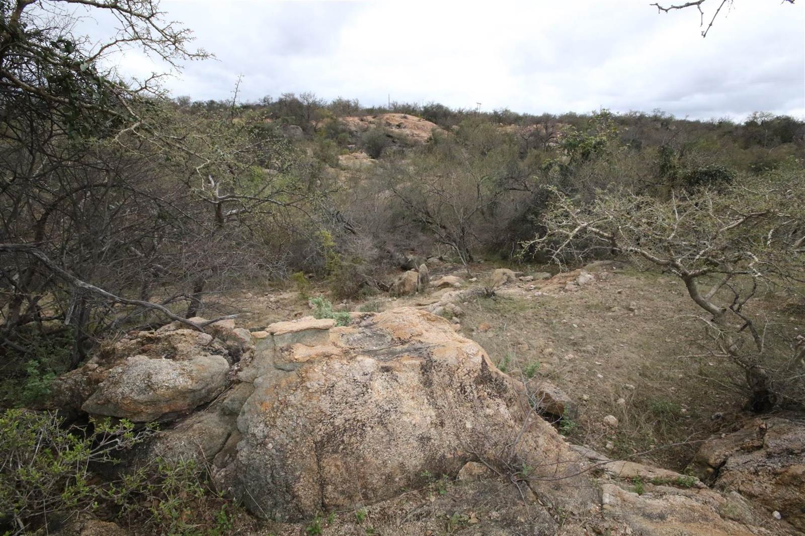 1 ha Land available in Hoedspruit photo number 15