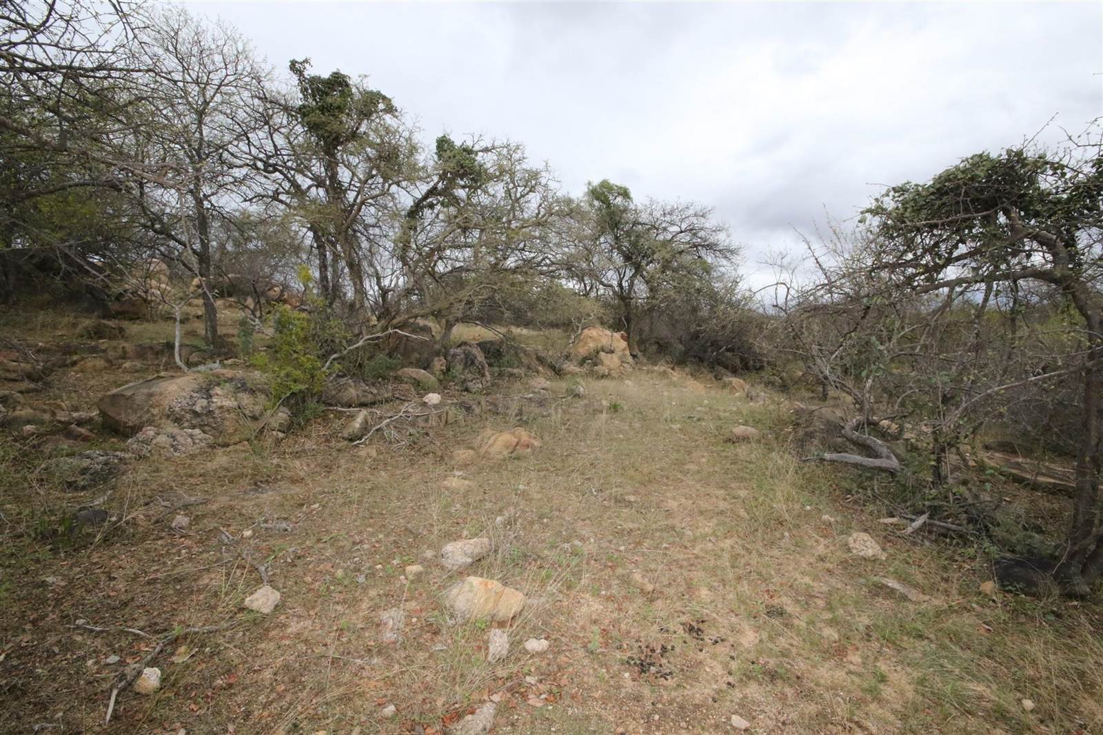 1 ha Land available in Hoedspruit photo number 22