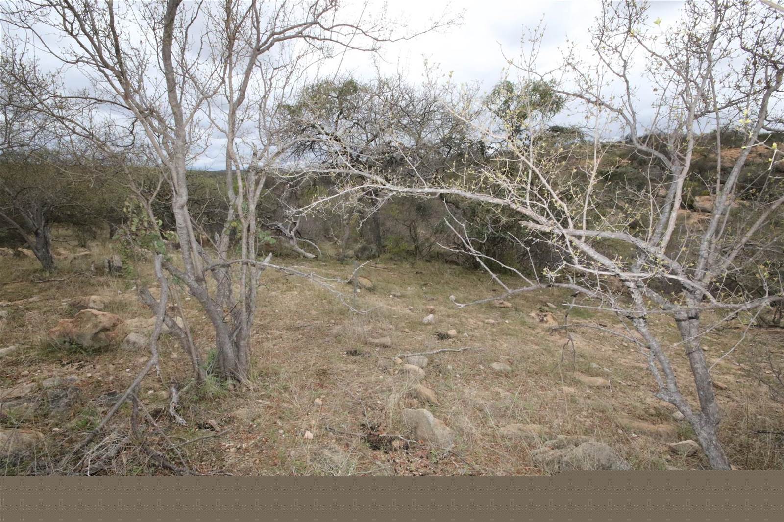 1 ha Land available in Hoedspruit photo number 23