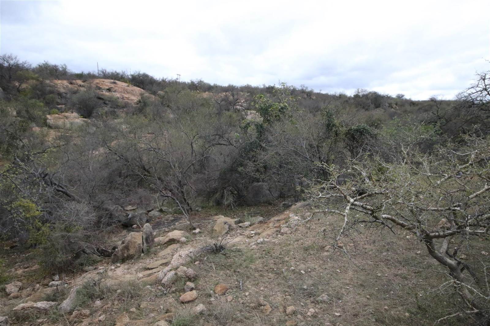1 ha Land available in Hoedspruit photo number 13