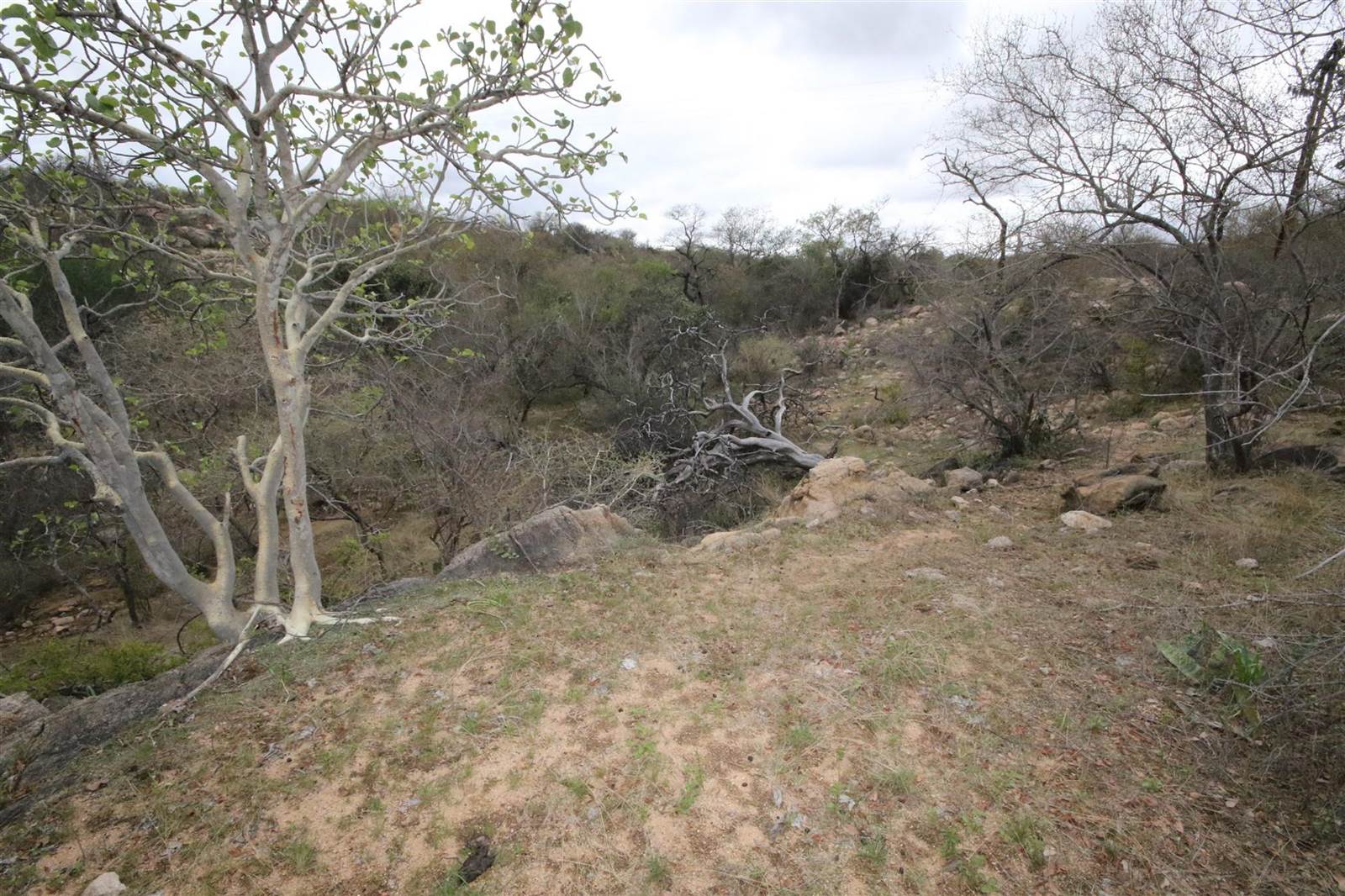 1 ha Land available in Hoedspruit photo number 20