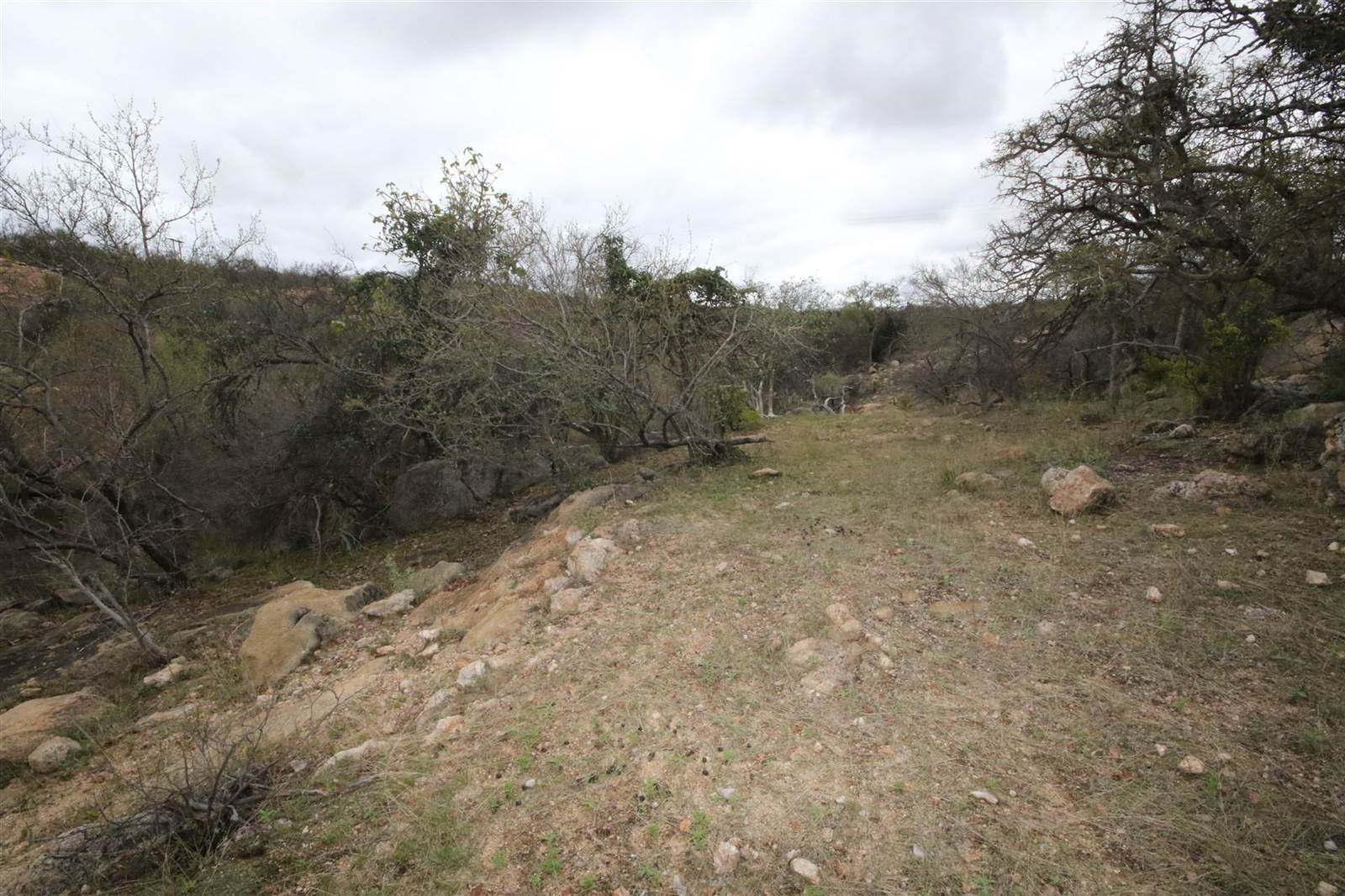 1 ha Land available in Hoedspruit photo number 19