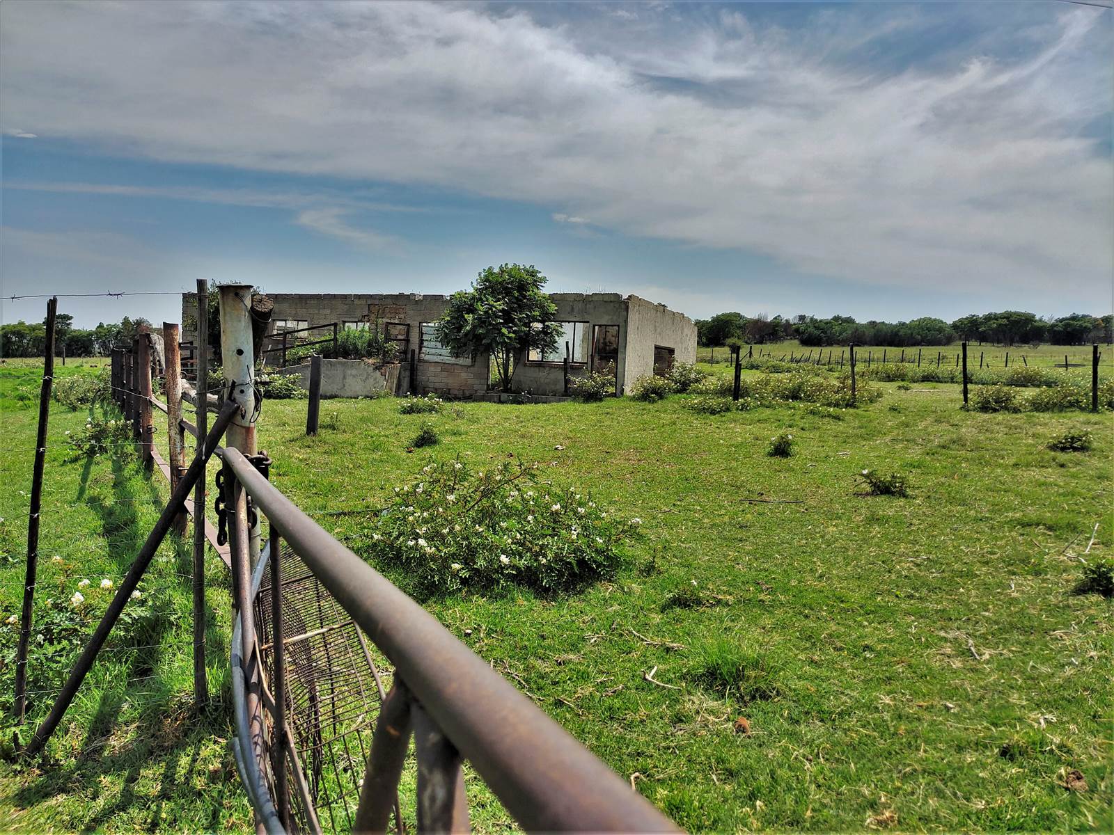 553 ha Farm in Witbank Central photo number 15