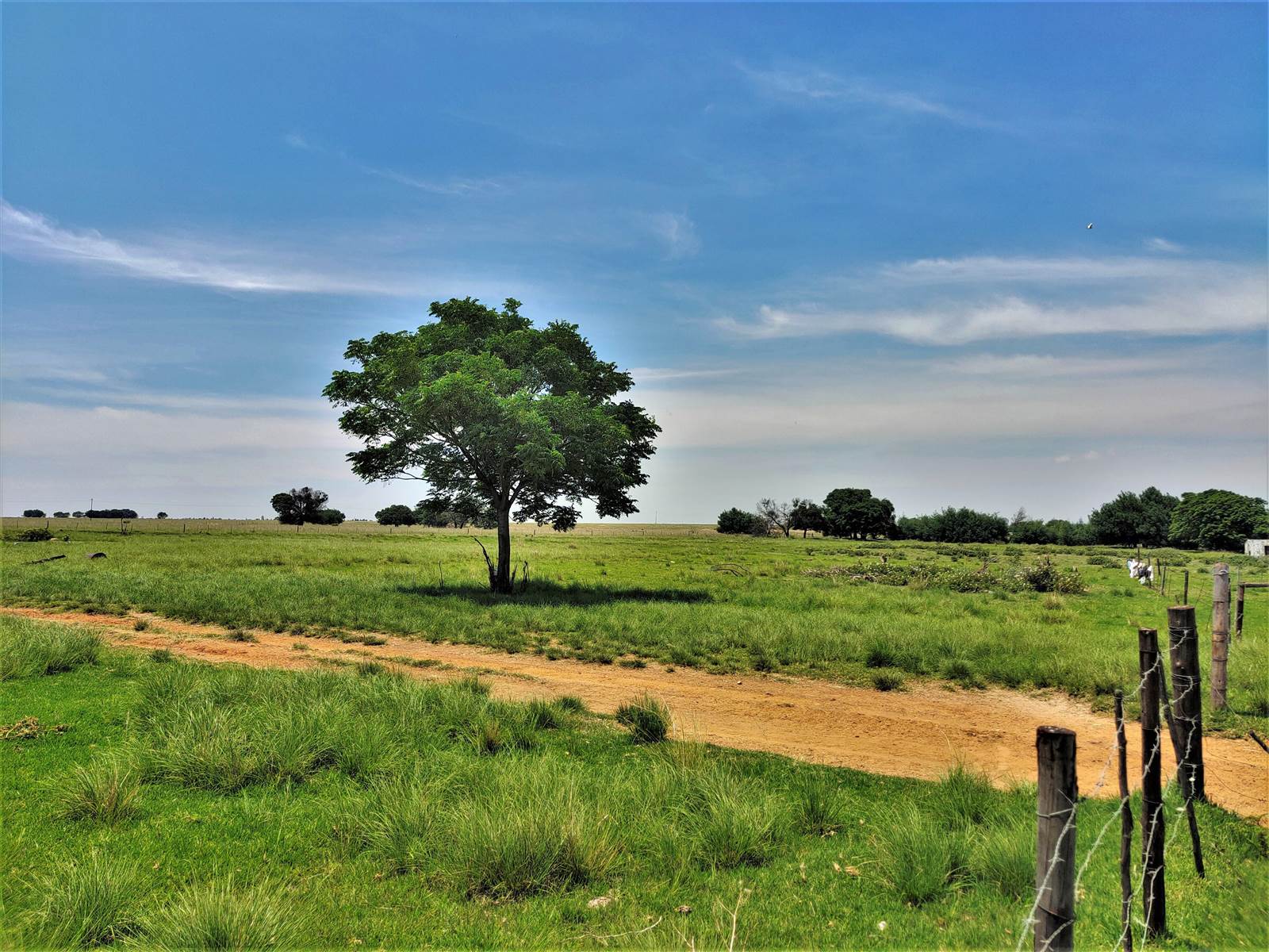 553 ha Farm in Witbank Central photo number 7