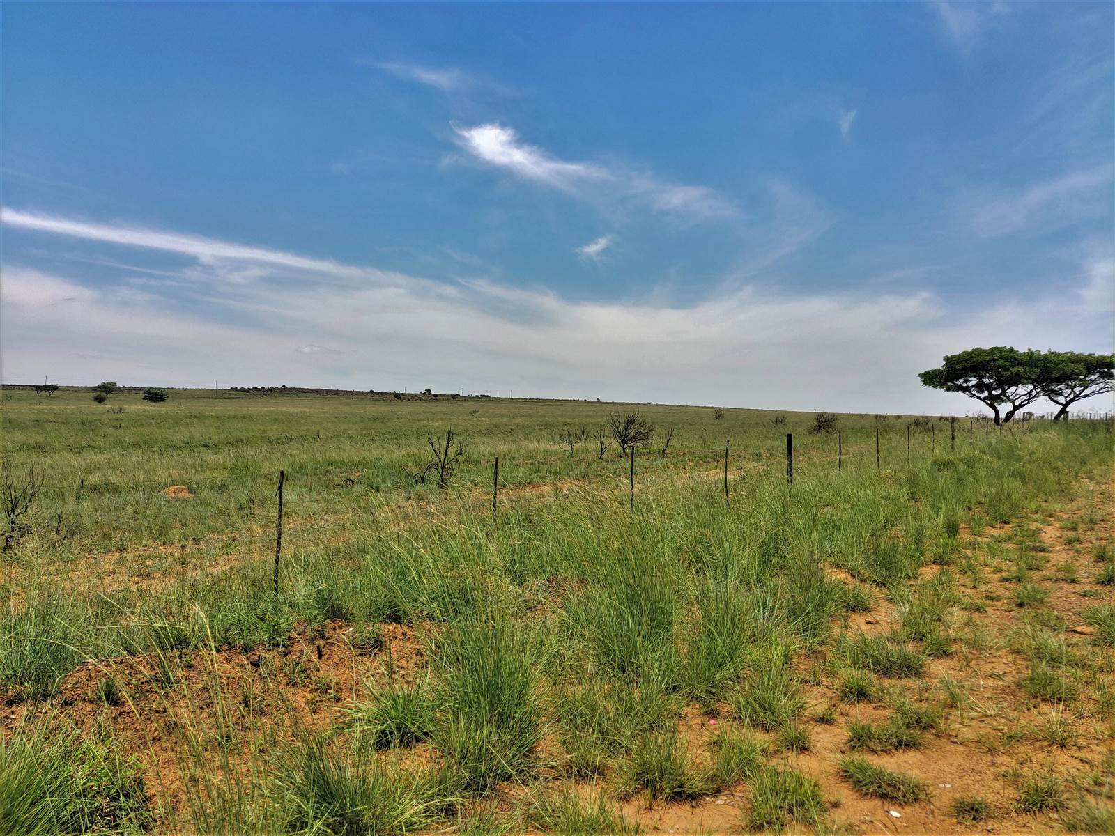 553 ha Farm in Witbank Central photo number 20