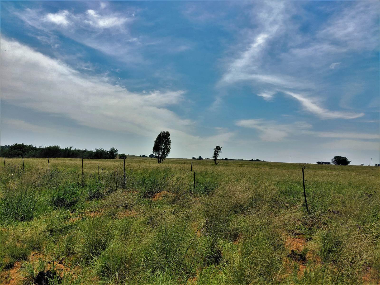 553 ha Farm in Witbank Central photo number 19