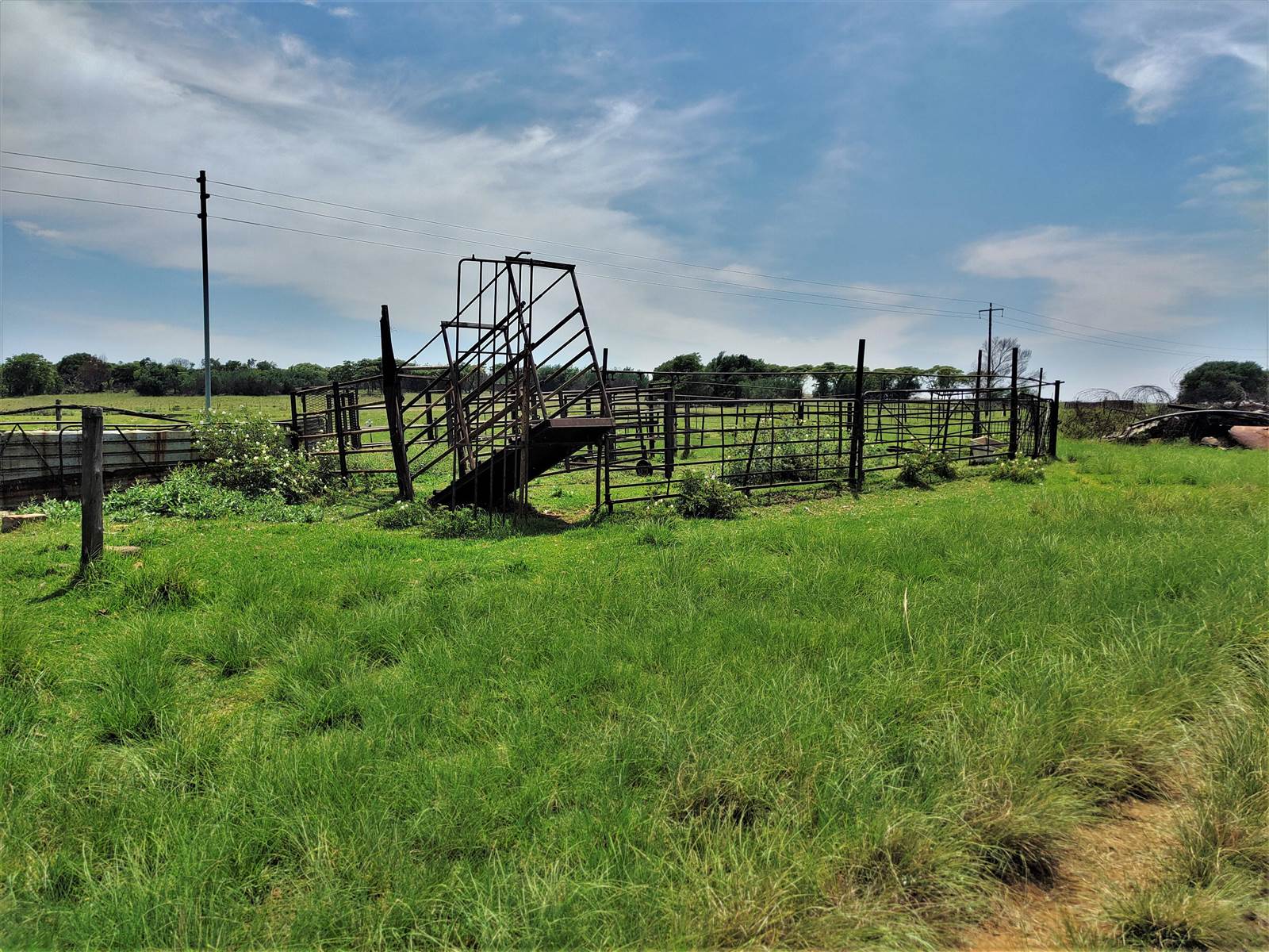 553 ha Farm in Witbank Central photo number 4
