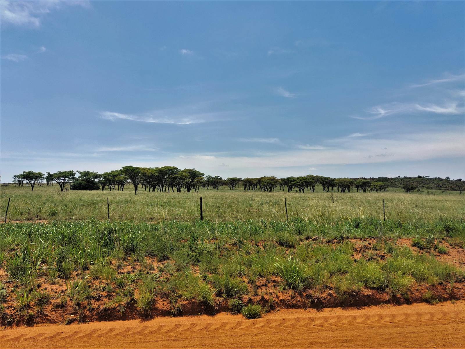 553 ha Farm in Witbank Central photo number 9