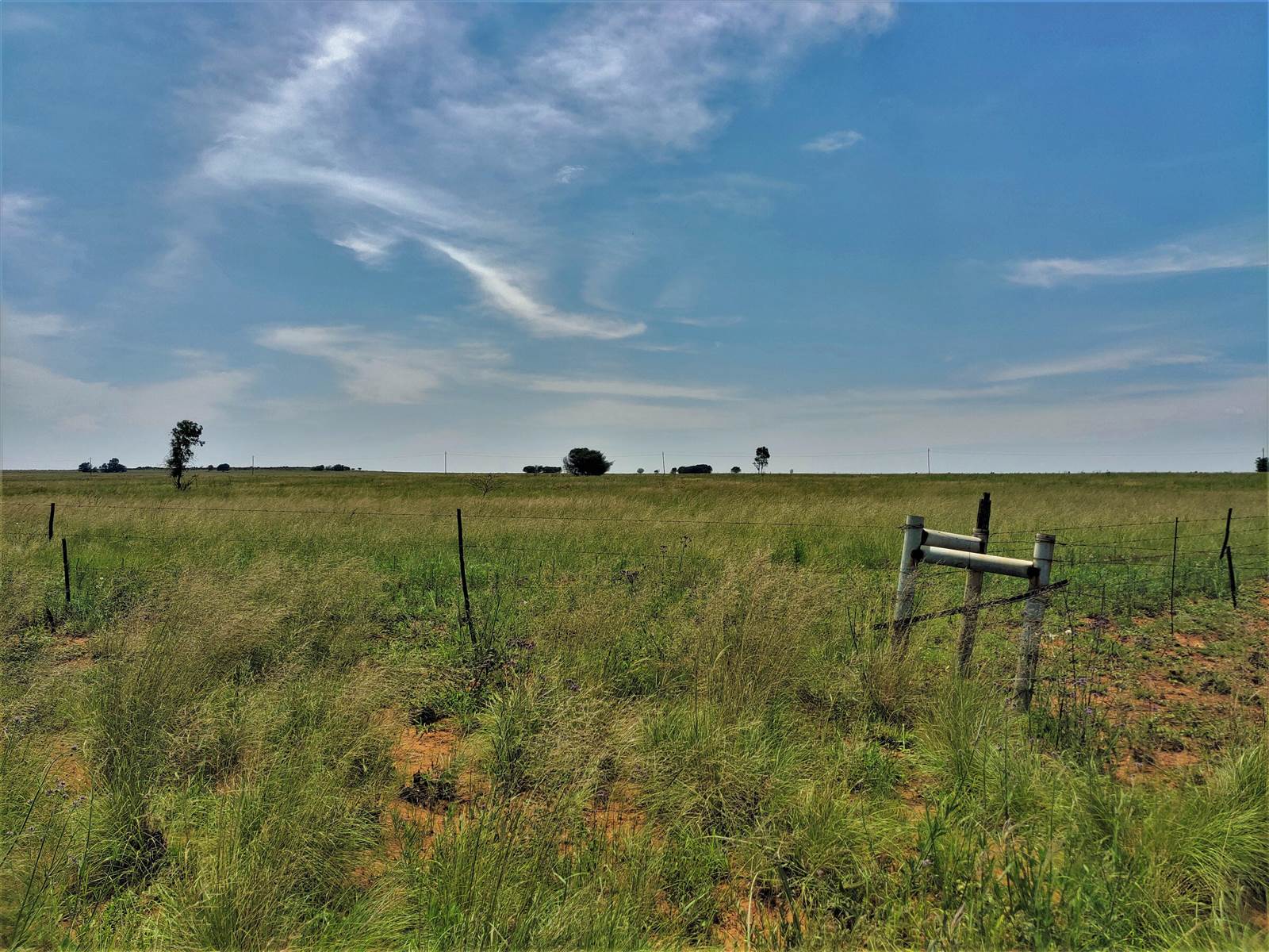553 ha Farm in Witbank Central photo number 11