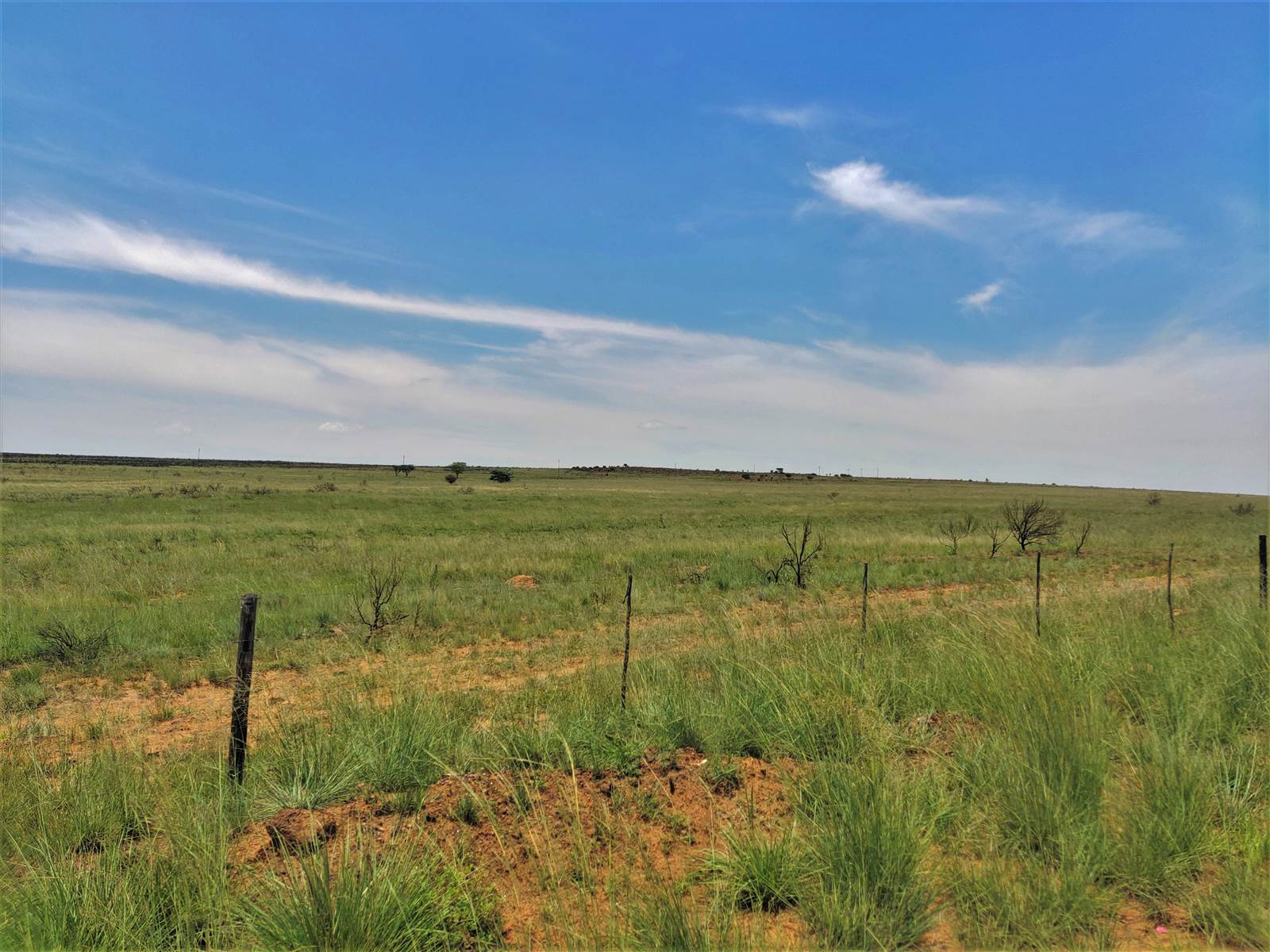 553 ha Farm in Witbank Central photo number 1