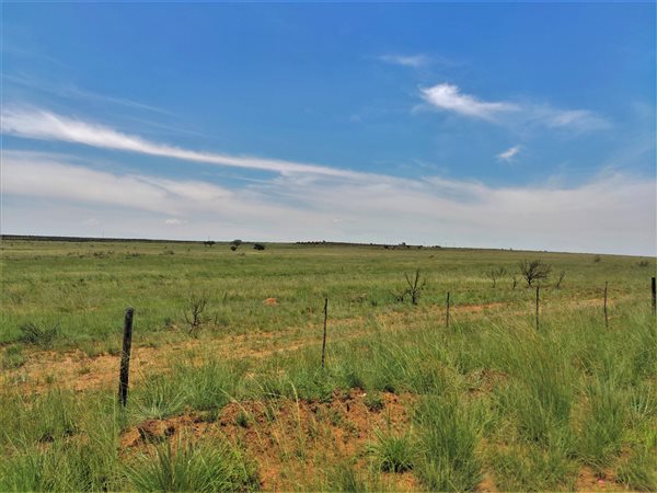 553 ha Farm in Witbank Central