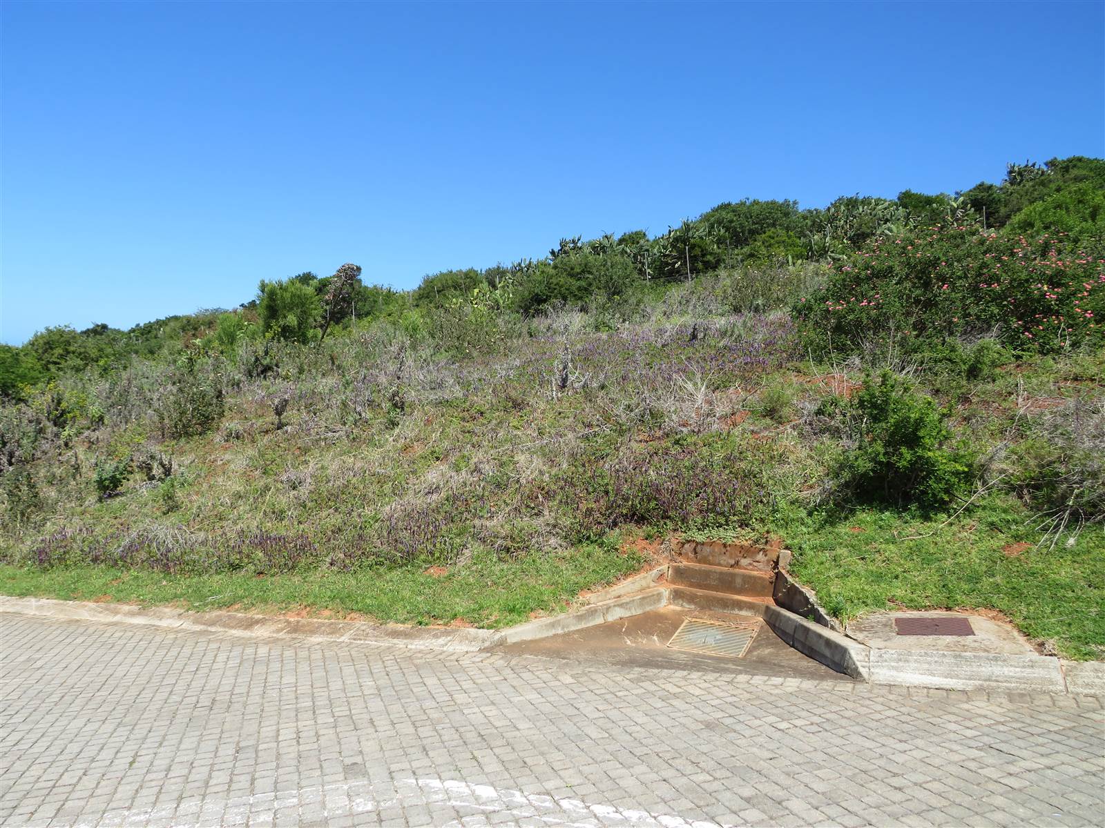 780 m² Land available in Port Alfred photo number 7