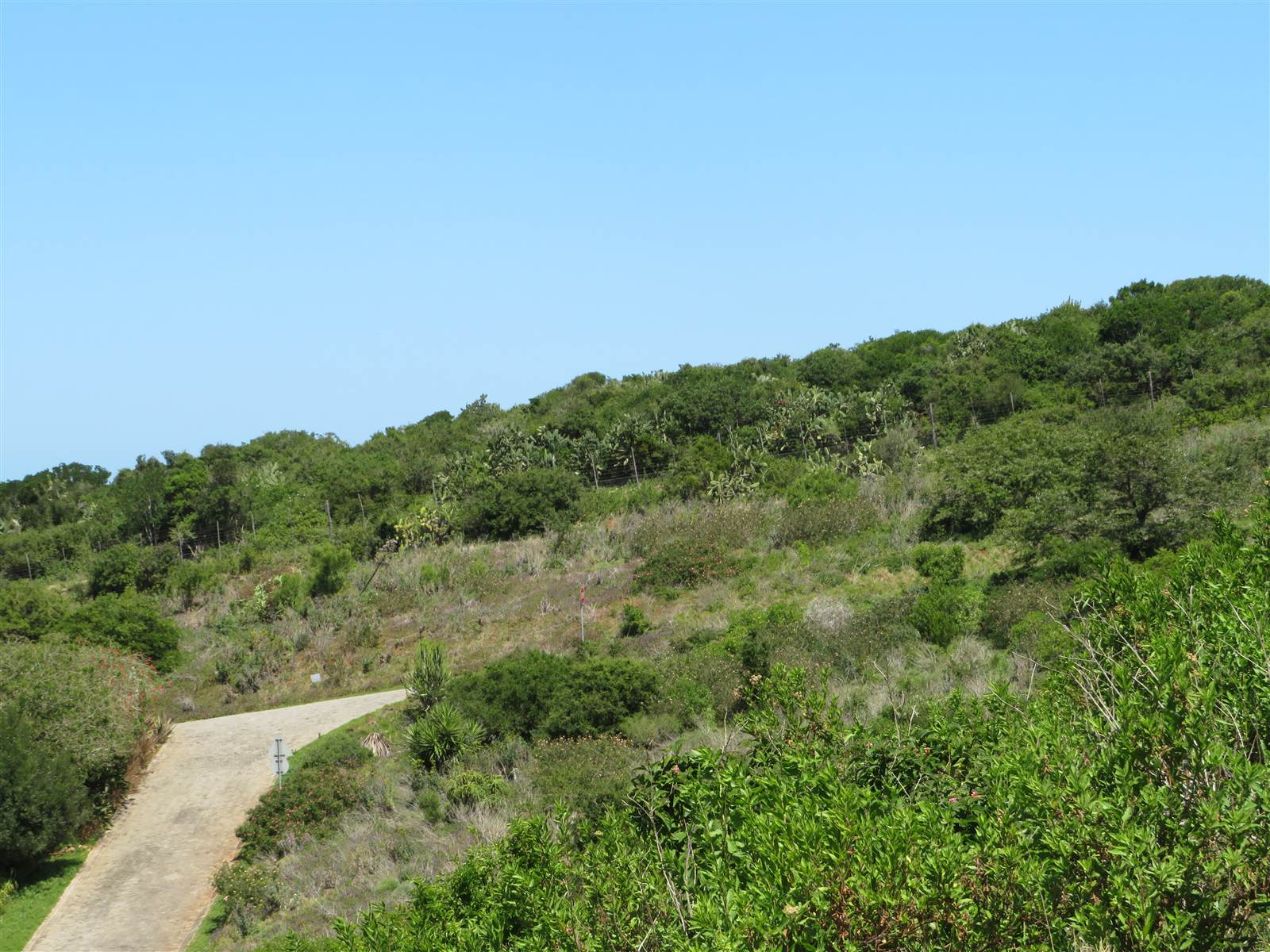 780 m² Land available in Port Alfred photo number 13