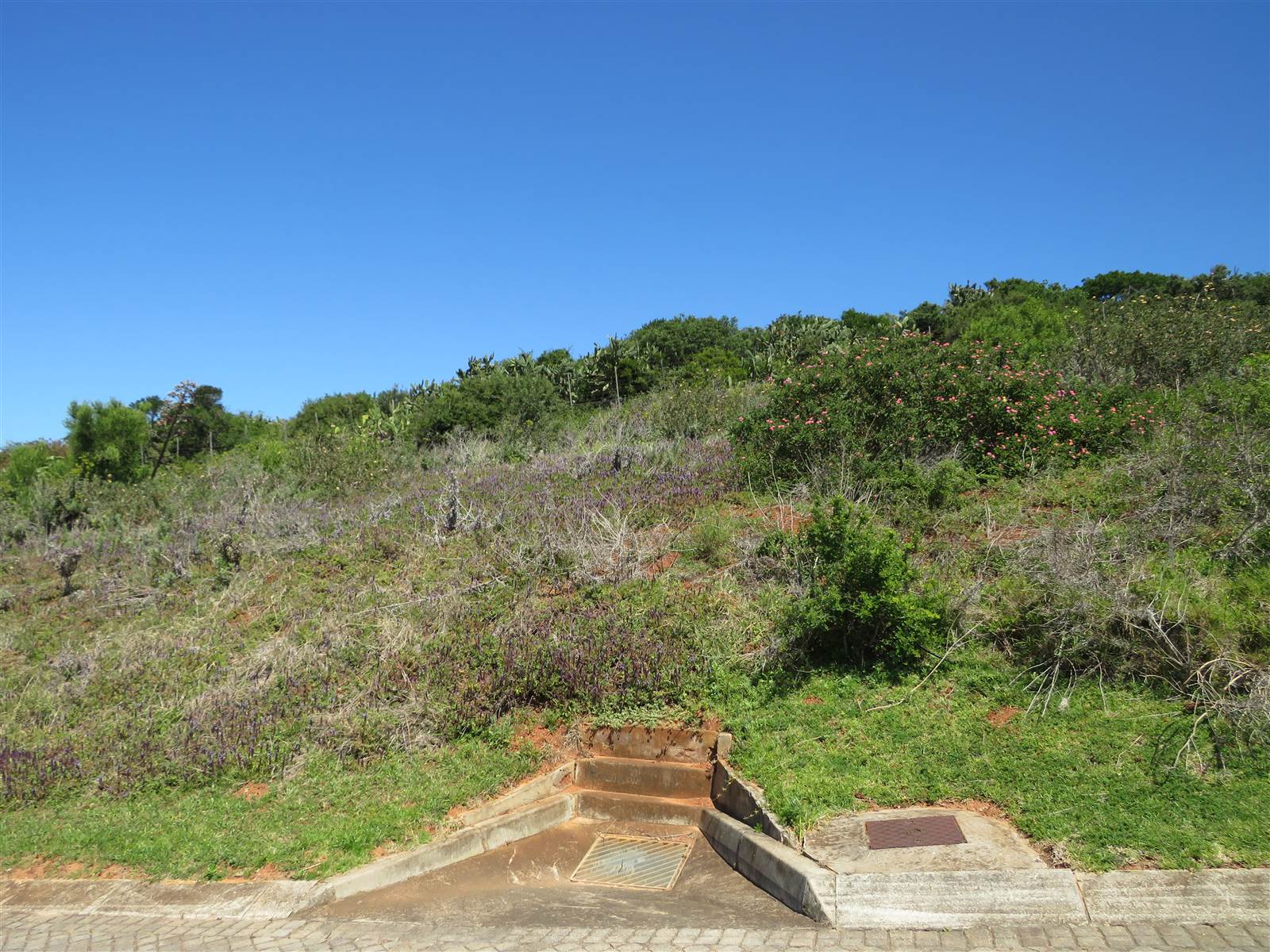 780 m² Land available in Port Alfred photo number 11