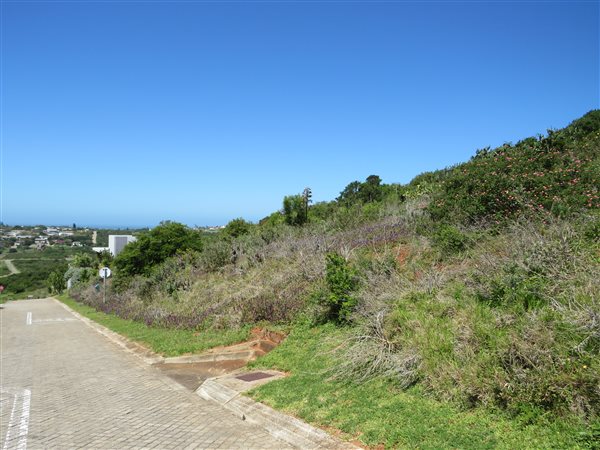 780 m² Land available in Port Alfred