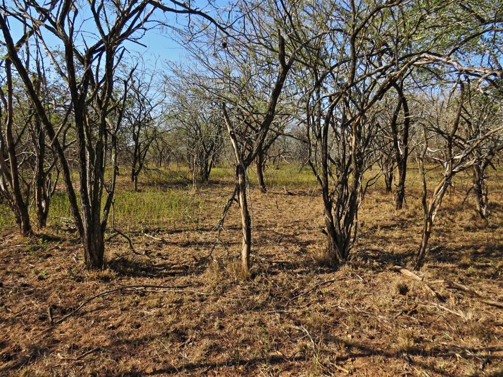 1640 m² Land available in Marloth Park photo number 4