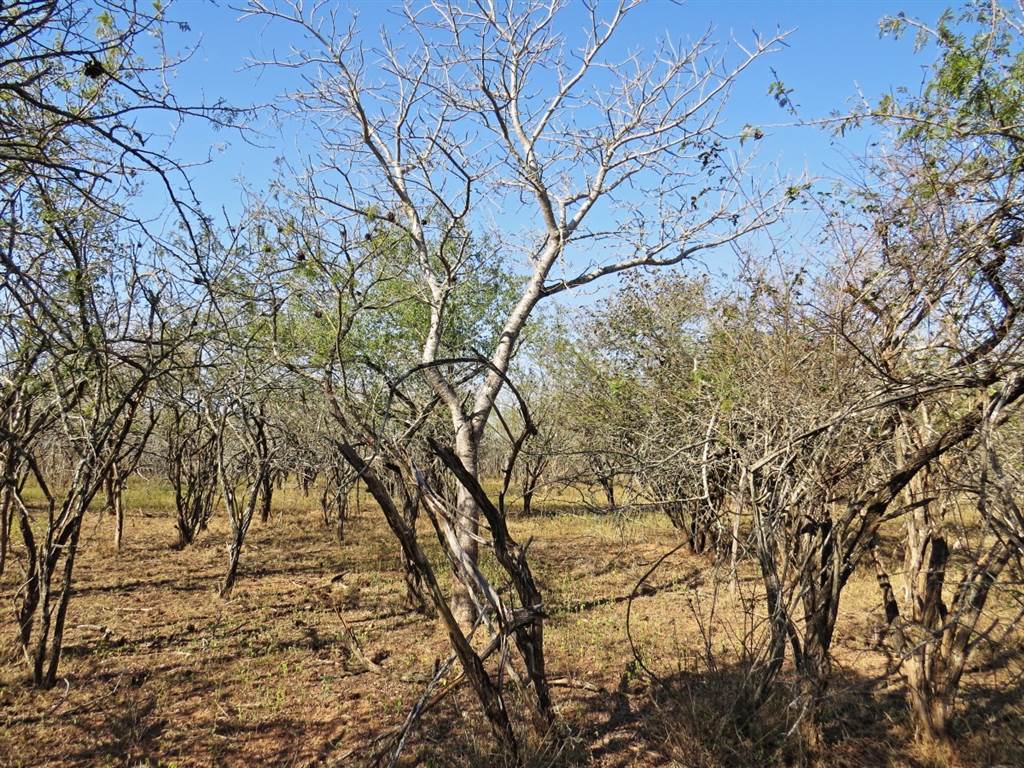 1640 m² Land available in Marloth Park photo number 9