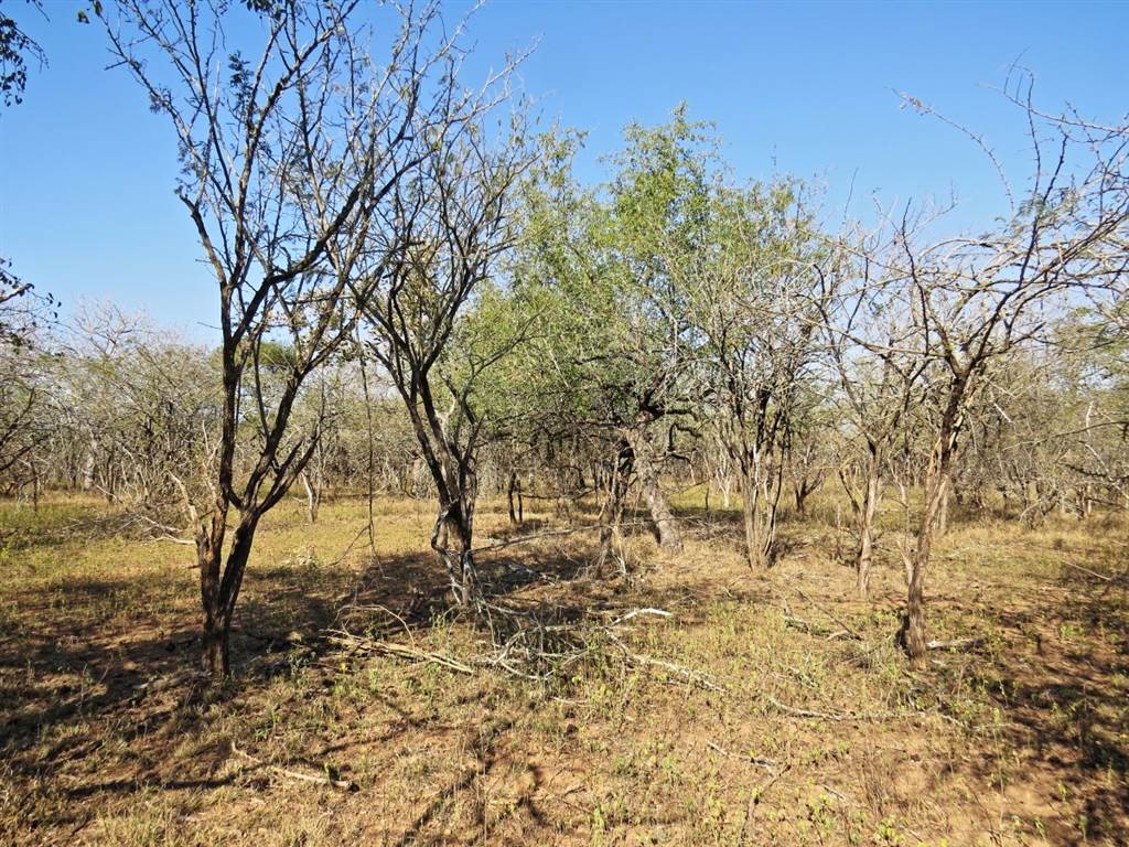 1640 m² Land available in Marloth Park photo number 6