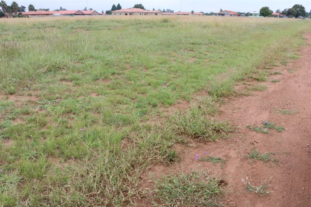 1118 m² Land available in Riversdale photo number 4