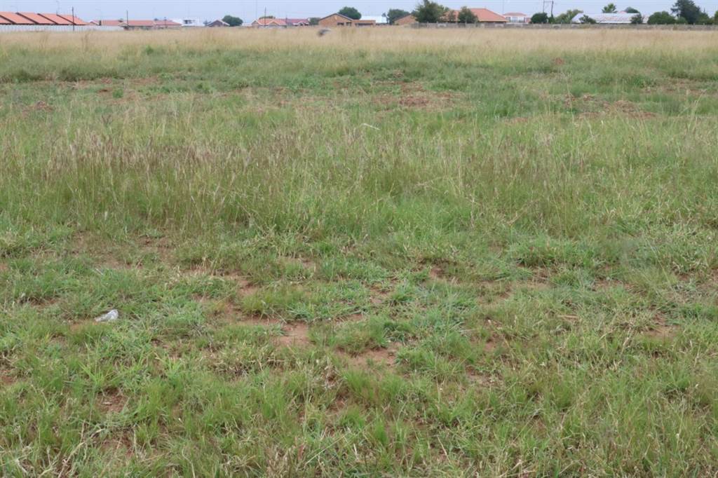 1118 m² Land available in Riversdale photo number 3
