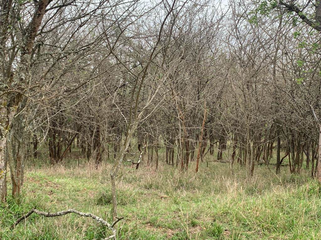 1 ha Land available in Barberton photo number 10
