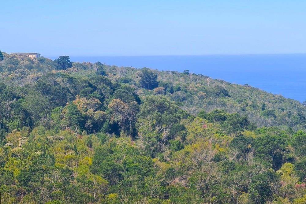2000 m² Land available in Victoria Bay photo number 11