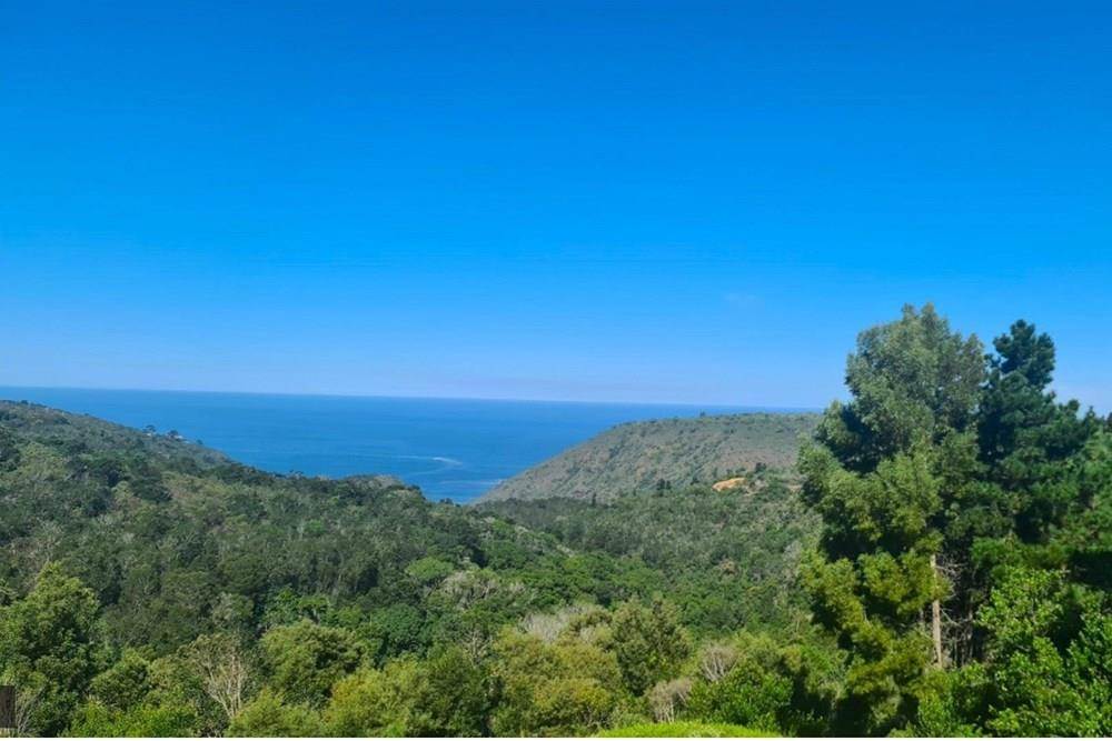 2000 m² Land available in Victoria Bay photo number 2