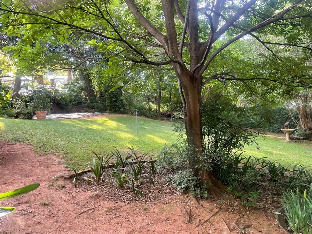 2692 m² Land available in Waterkloof Ridge photo number 12