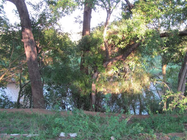 3303 m² Land available in Hoedspruit