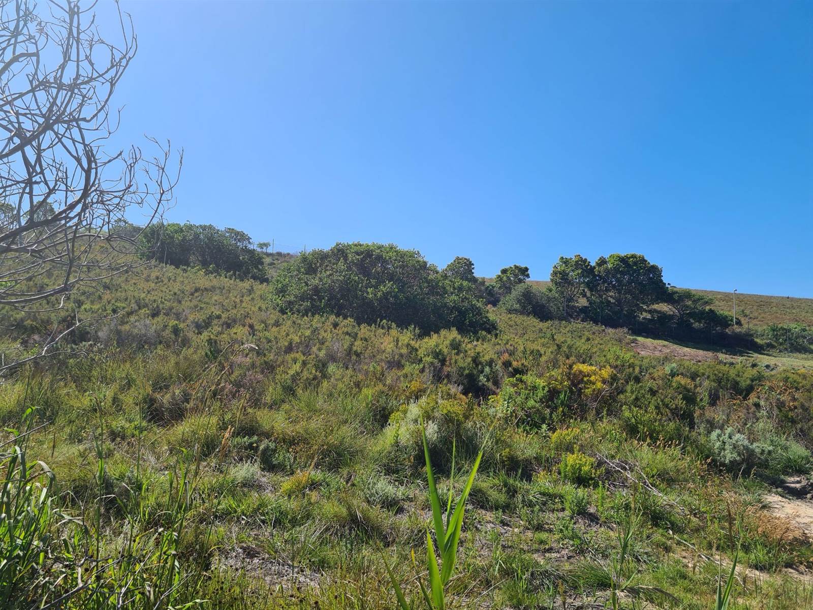 1488 m² Land available in Fernwood Estate photo number 8