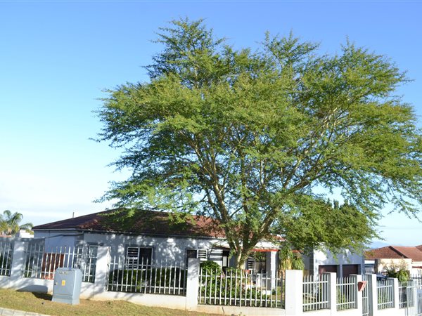 3 Bedroom House 3 Bedroom House