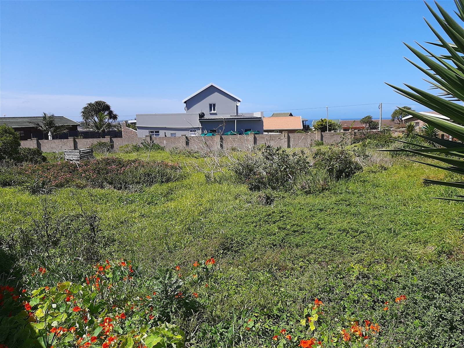 872 m² Land available in Port Alfred photo number 5