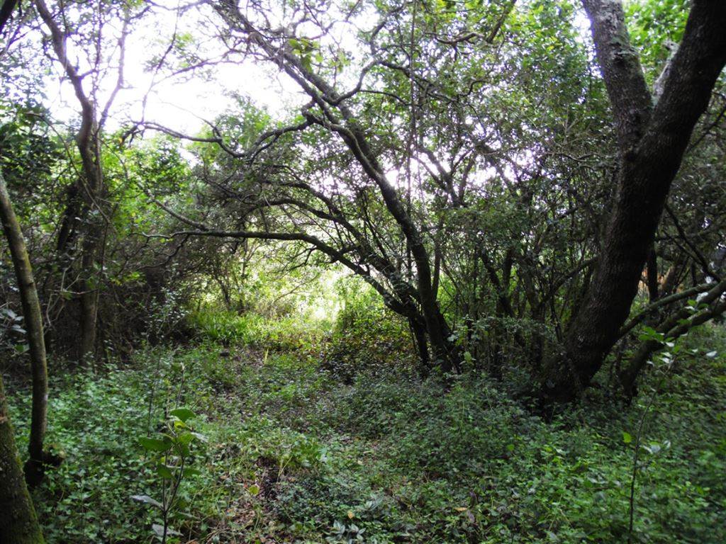 823 m² Land available in Gamtoos Mouth photo number 2