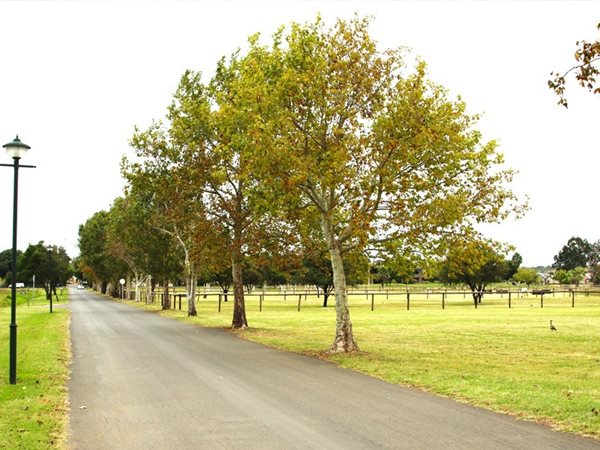 998 m² Land available in Boschkop