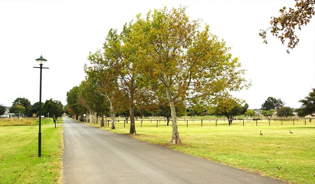 998 m² Land available in Boschkop photo number 1