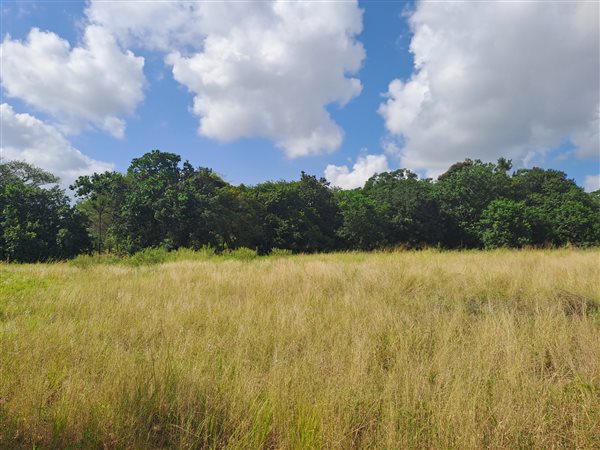 1240 m² Land available in Hazyview